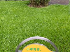 -晓港公园