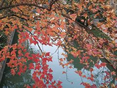 -杭州市第三人民医院