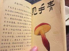 -滇野云南野生菌餐厅(陕西南路店)