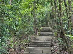 -深圳仙湖植物园