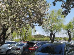 -北海公园-停车场