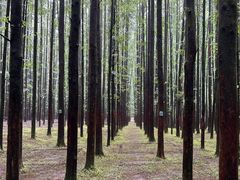 -山王坪喀斯特国家生态公园