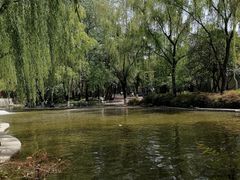 -西安市长乐公园