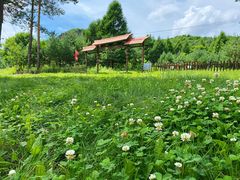 -玉泉威虎山森林公园