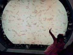 -沈阳海洋探索中心