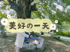 -东湖落雁景区