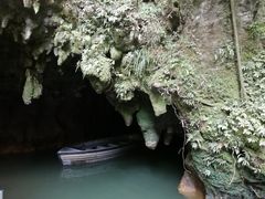 -怀托摩萤火虫洞