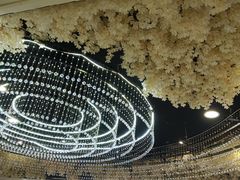 -普天和酒楼(天津之眼店)