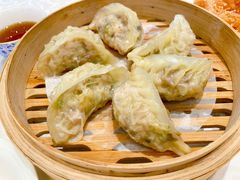 鲜肉菜饺-南园酒家(前进路店)