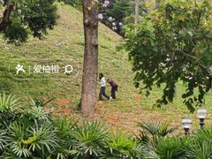 -广州中山纪念堂