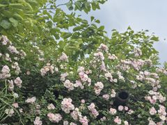 -冶父山国家森林公园
