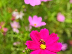 -木洞河街