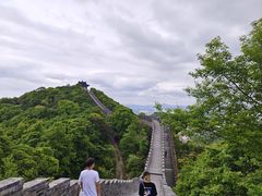 -黄贤森林公园