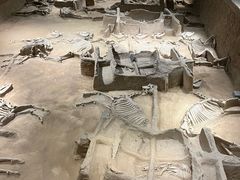 -洛阳周王城天子驾六博物馆