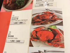 菜单-中国城银都鱼翅酒楼