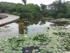 -白马涧龙池景区