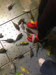 -酷嗒动物文化乐园(cutezoo西溪乐天城店)