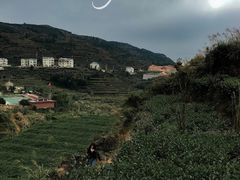 -军营村