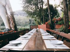 -Fern Forest Cafe