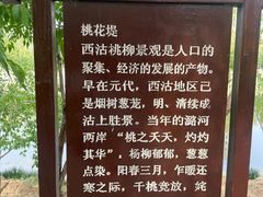 -桃花堤公园