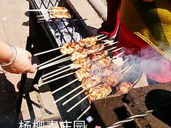 -杨柳青庄园