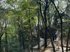 -黔灵山公园