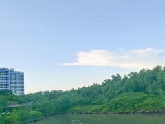 -大亚湾红树林城市湿地公园