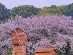 -苏州上方山国家森林公园