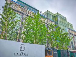 -格乐利雅婚礼艺术中心(浦东花木店)
