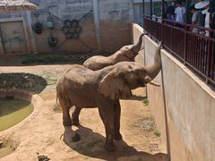 -西霞口神雕山野生动物世界