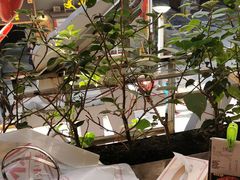 -虾小龙老长沙龙虾馆(坡子街店)