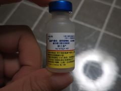 -读宠于你·约克夏比熊·睫角守宫·爬宠售卖(高新店)