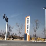 薅羊毛的快乐