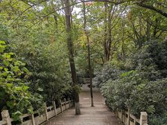 -石老人观光园