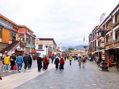 -古树酸奶(八廓南街店)