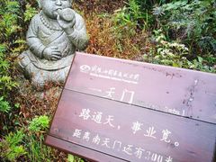 -武陵山森林公园