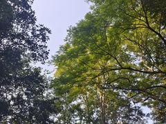 -桂山风景旅游区