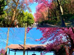 -天龙八部武侠城