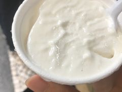 椰子雪糕-洪馨椰子