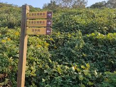 -洋山深水港