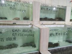 -海盗餐厅