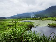 -腾冲北海湿地