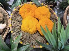 -滇铺子·云南特色菜·鲜花野菜季(东风东路c86店)