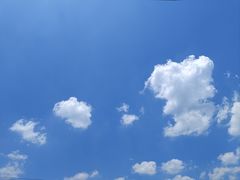 -江西阳明山国家森林公园