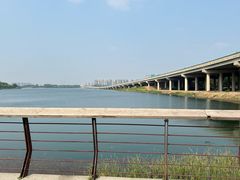 -丁香湖公园