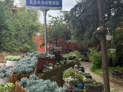 -长虫山生态公园风景林