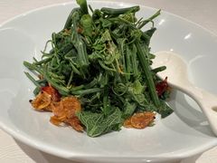 丝瓜苗-松鹤楼(月坛店)