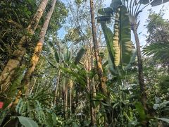-中国科学院西双版纳热带植物园
