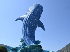 -珠海长隆海洋王国
