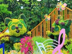 -上海共青森林公园